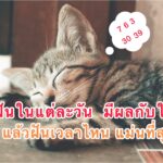 ทำนายดวง 9 เลขท้ายบัตรประชาชน บอกความเป็นตัวคุณ