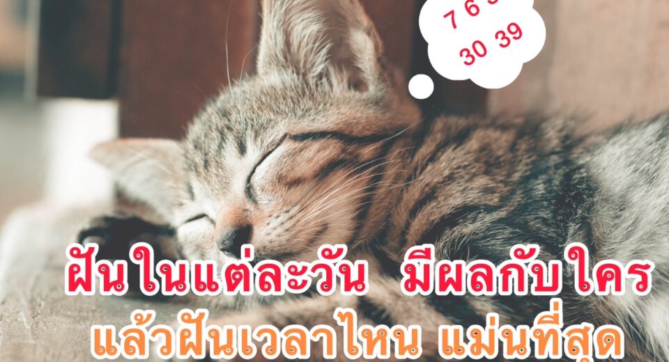 ทำนายฝันในแต่ละวัน มีผลกับใคร และ เวลาไหน แม่นที่สุด