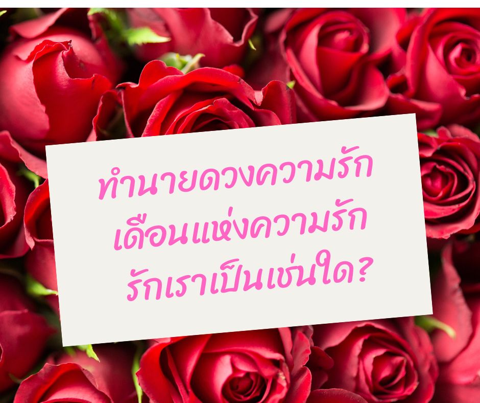 ทำนายดวงกับไพ่ชินจัง เดือนกุมภาพันธ์ 2566