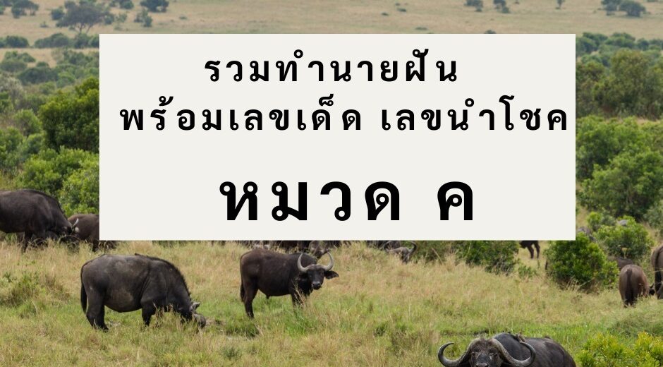 รวมทำนายฝัน พร้อมเลขเด็ด เลขนำโชค หมวด ค