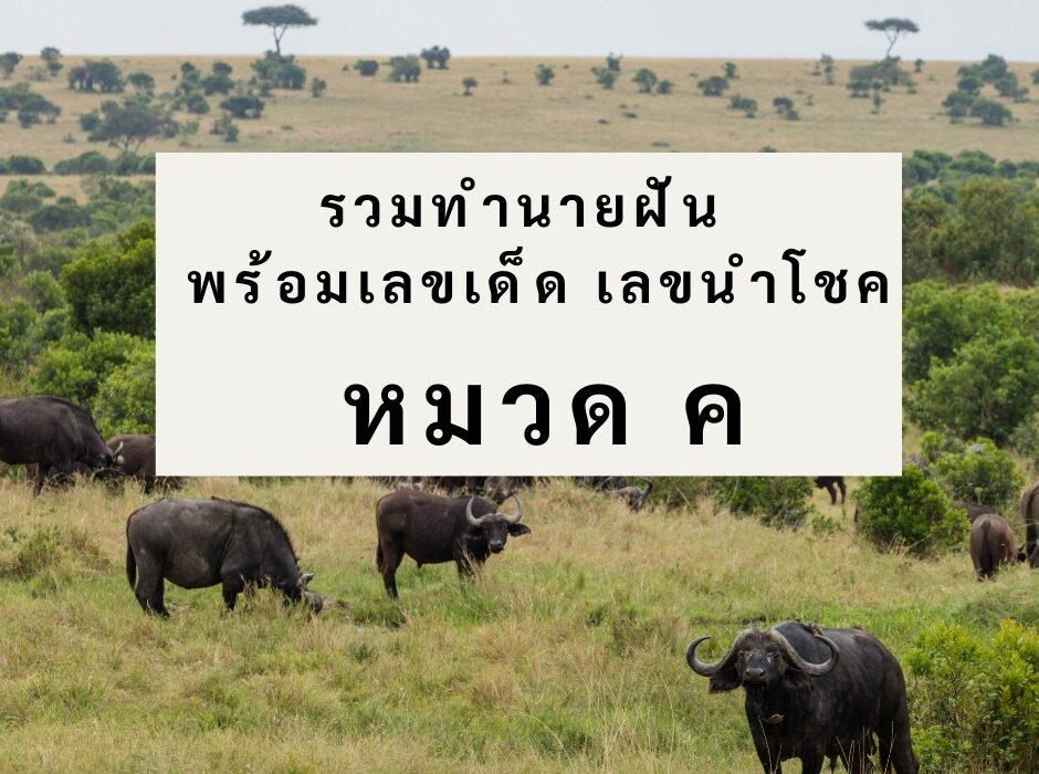 รวมทำนายฝัน พร้อมเลขเด็ด เลขนำโชค หมวด ค