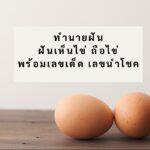 รวมทำนายฝัน พร้อมเลขเด็ด เลขนำโชค หมวด ค