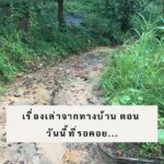 ทำนายดวงกับไพ่ชินจัง เดือนเมษายน2566 เดือนนี้จะเป็นเช่นใด?