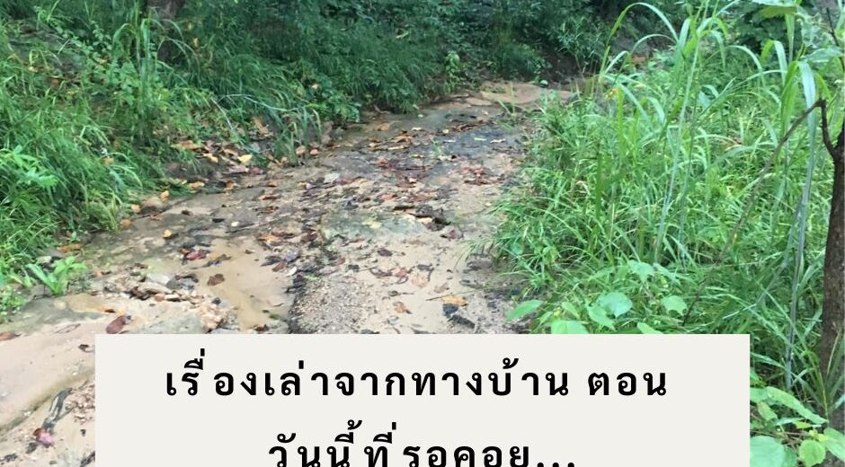 ทำนายฝัน เรื่องเล่าจากทางบ้านตอน วันนี้ที่รอคอย… 11 เรื่องเล่าจากทางบ้าน ตอน วันนี้ที่รอคอย