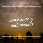 ทำนายดวงกับ App Tarot Path – ไพ่ wheel of fortune