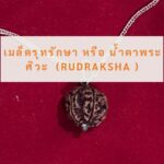 ทำนายฝัน ขอนไม้ ท่อนซุง