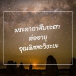 ทำนายฝัน ฝันเห็นนกฮูก