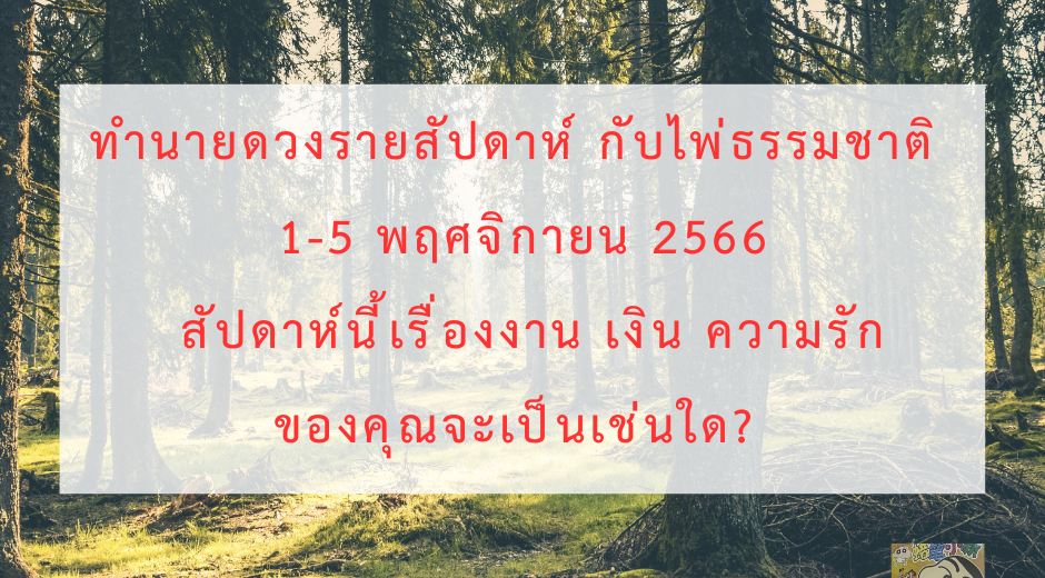 มูเตลู ทำนายดวงรายสัปดาห์กับไพ่ธรรมชาติ 1-5 พฤศจิกายน 2566 สัปดาห์นี้จะเป็นเช่นใด?