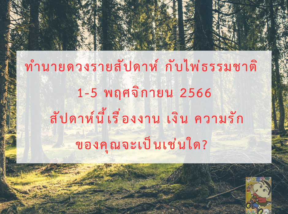 ดูดวง ทำนายดวงรายสัปดาห์กับไพ่ธรรมชาติ 1-5 พฤศจิกายน 2566 สัปดาห์นี้จะเป็นเช่นใด? 1 ดูดวง ทำนายดวงรายสัปดาห์กับไพ่ธรรมชาติ 1-5 พฤศจิกายน 2566 สัปดาห์นี้จะเป็นเช่นใด?