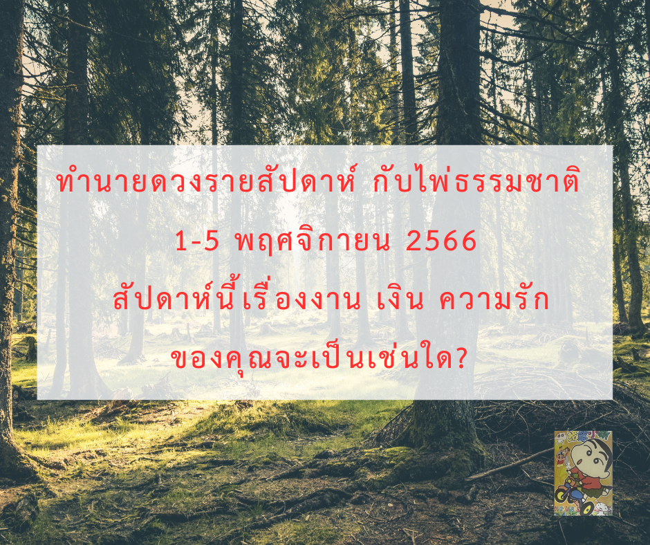 ดูดวง ทำนายดวงรายสัปดาห์กับไพ่ธรรมชาติ 1-5 พฤศจิกายน 2566 สัปดาห์นี้จะเป็นเช่นใด?