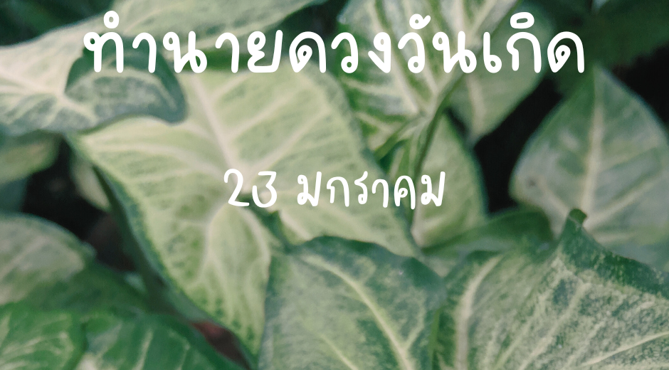 ทำนายดวงตามวันเกิด 23 มกราคม
