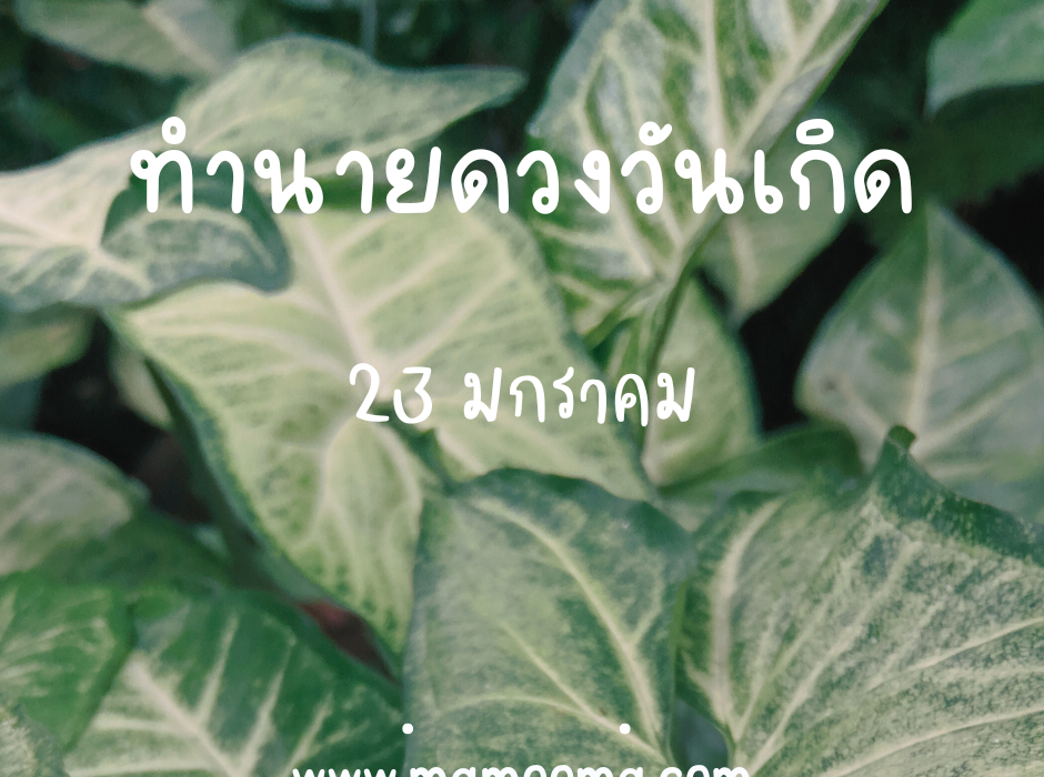 ทำนายดวงตามวันเกิด 23 มกราคม