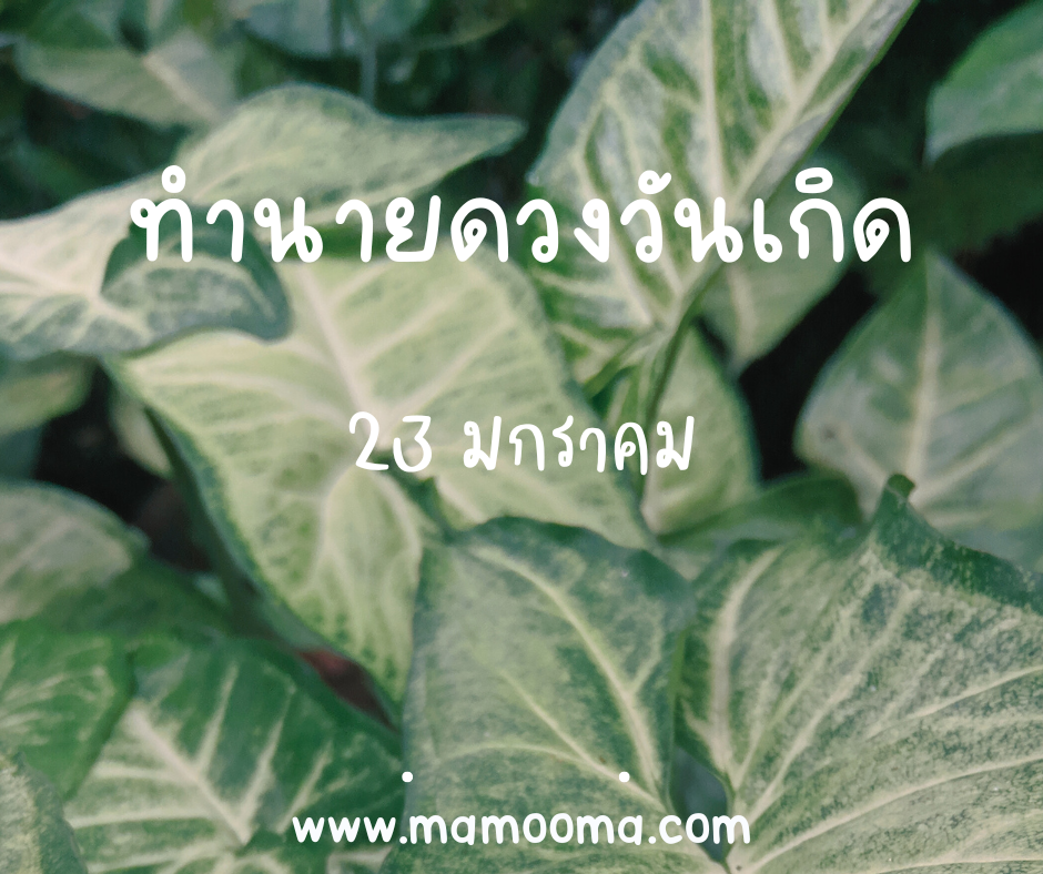 ทำนายดวงตามวันเกิด 23 มกราคม