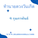 ทำนายดวงรายสัปดาห์กับไพ่เม่า 5 – 11 กุมภาพันธ์  2567 สัปดาห์นี้จะเป็นเช่นใด?