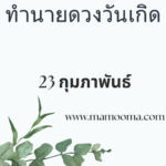 ทำนายดวงตามวันเกิด 24 กุมภาพันธ์, Born on Febuary 24