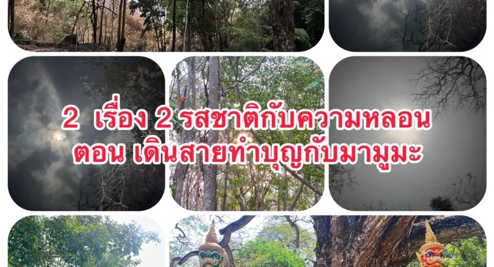 เรื่องเล่า มามูมะ