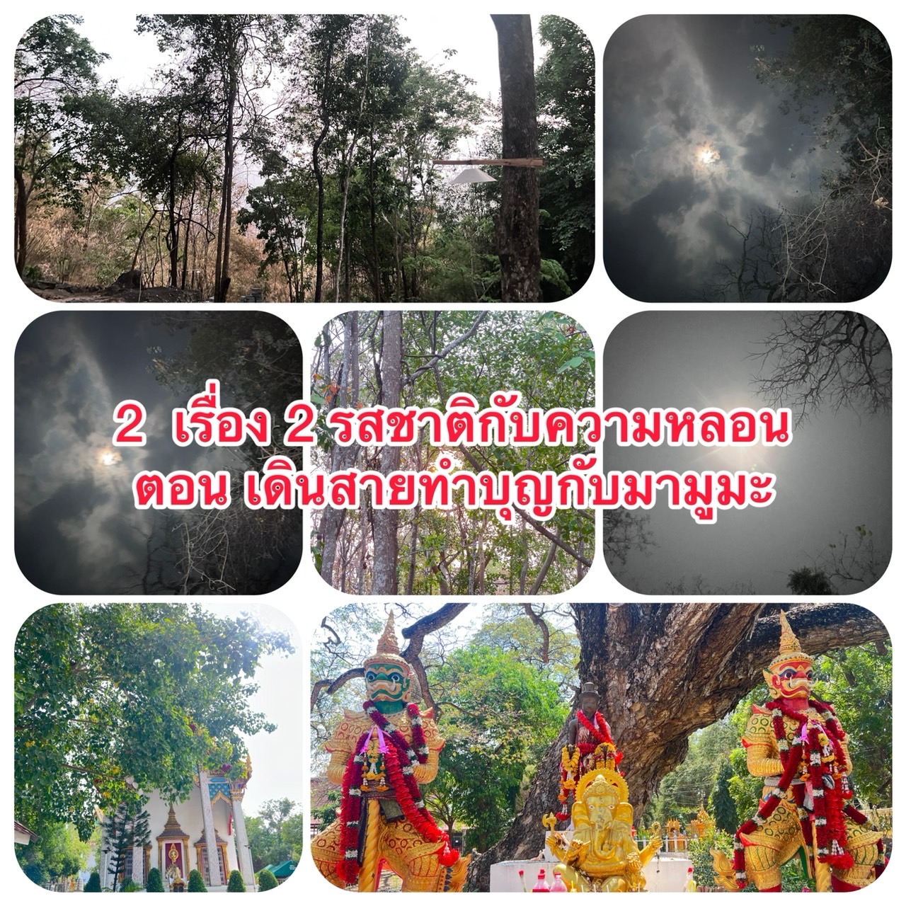 เรื่องเล่า มามูมะ