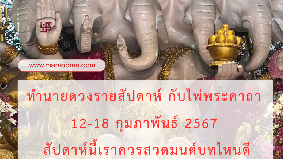 มูเตลู ทำนายดวงรายสัปดาห์กับไพ่พระคาถาระหว่างวันที่ 12-18 กุมภาพันธ์ 2567 สัปดาห์นี้สวดพระคาถาบทใดดีนะ?