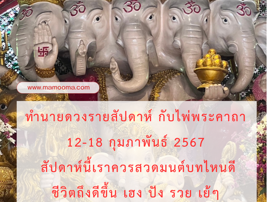 ดูดวง ทำนายดวงรายสัปดาห์กับไพ่พระคาถาระหว่างวันที่ 12-18 กุมภาพันธ์ 2567 สัปดาห์นี้สวดพระคาถาบทใดดีนะ?