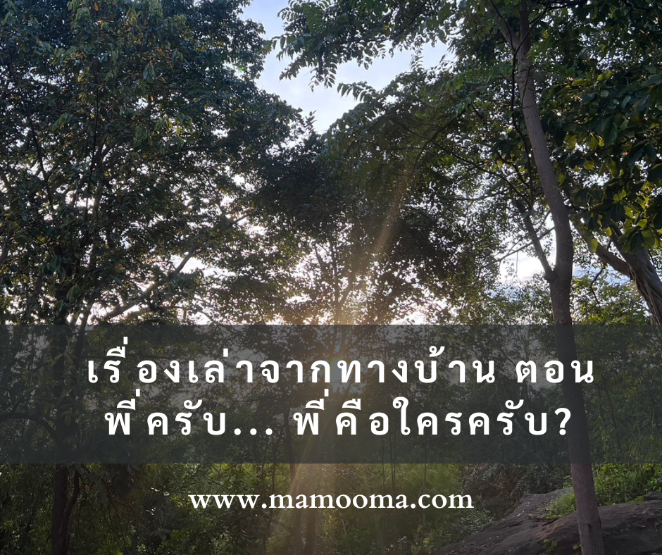 เรื่องเล่า พี่ครับ พี่คือใครครับ