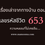 เรื่องเล่าจากทางบ้าน ตอน “แสงนั้นคือแสงอะไร…?”