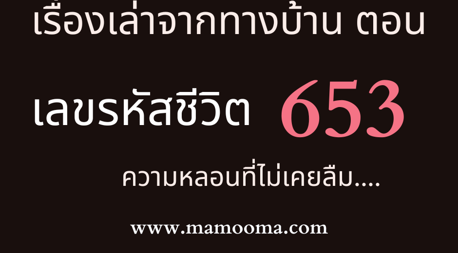 เรื่องเล่า 653 เลขรหัสชีวิต