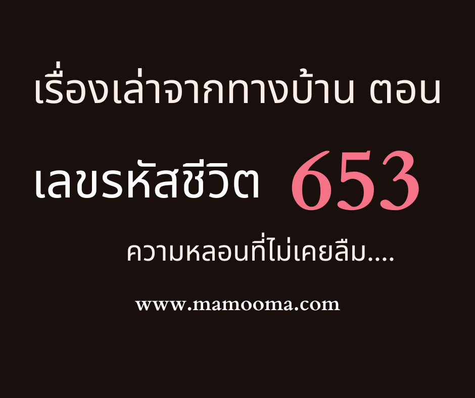 เรื่องเล่า 653 เลขรหัสชีวิต
