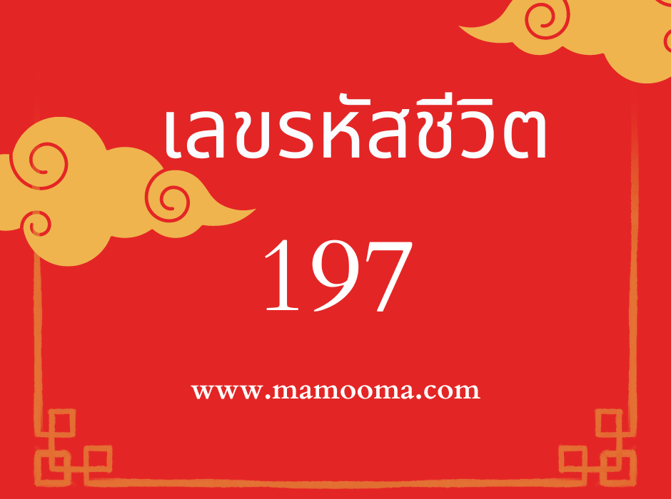 เลขรหัสชีวิต 197