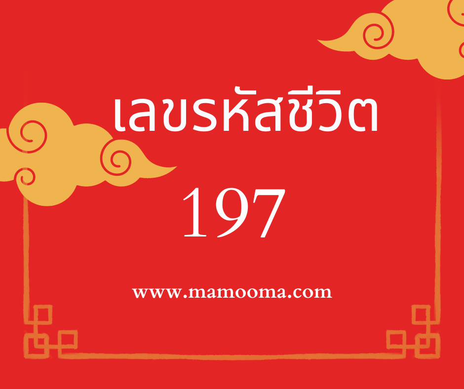 เลขรหัสชีวิต 197