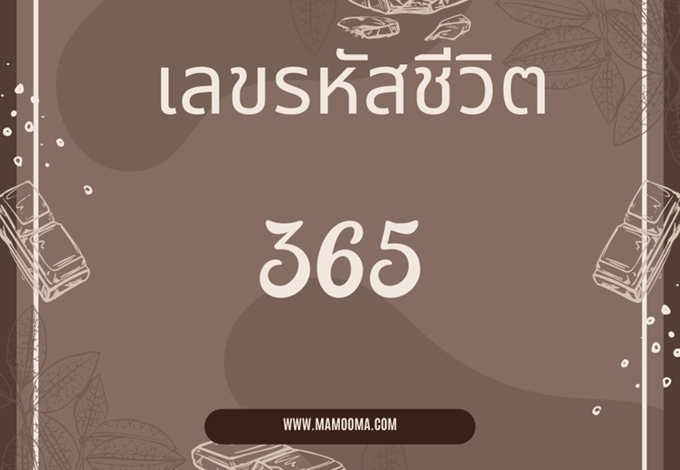 เลขรหัสชีวิต 365