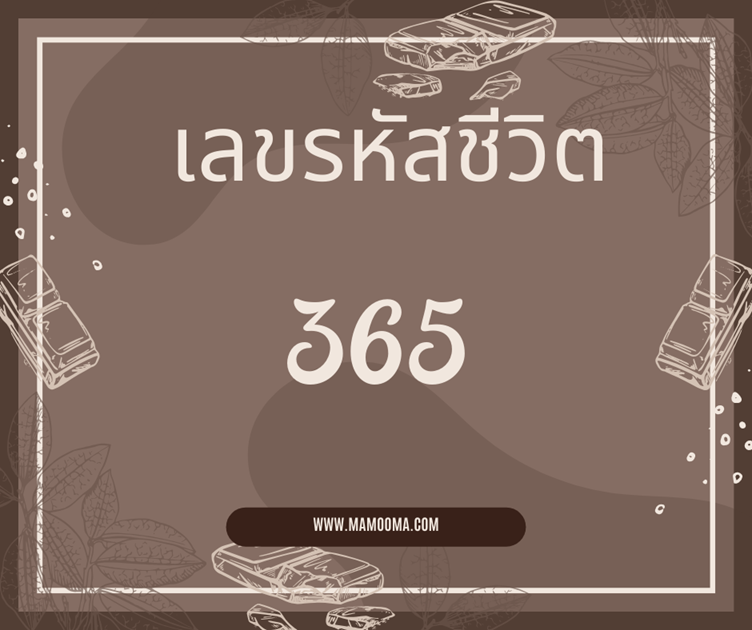 เลขรหัสชีวิต 365