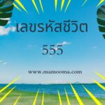 ทำนายดวงตามวันเกิด 20 กุมภาพันธ์, Born on Febuary 20