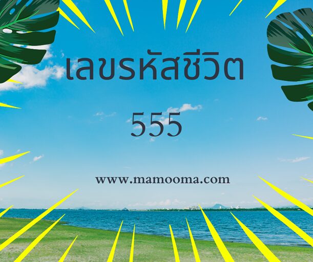 เลขรหัสชีวิต-555