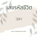 เลขรหัสชีวิต 862