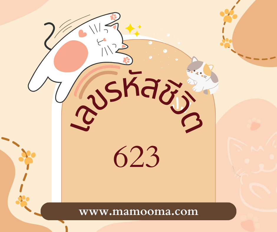 เลขรหัสชีวิต 623