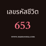 เลขรหัสชีวิต 282