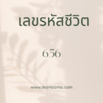 เลขรหัสชีวิต 862
