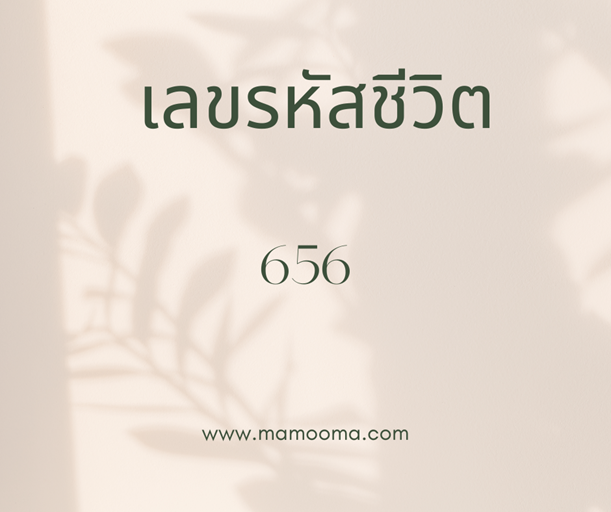 เลขรหัสชีวิต 656