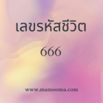 เลขรหัสชีวิต 615