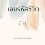 เลขรหัสชีวิต 519