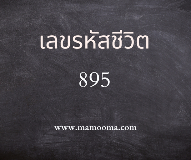เลขรหัสชีวิต 895