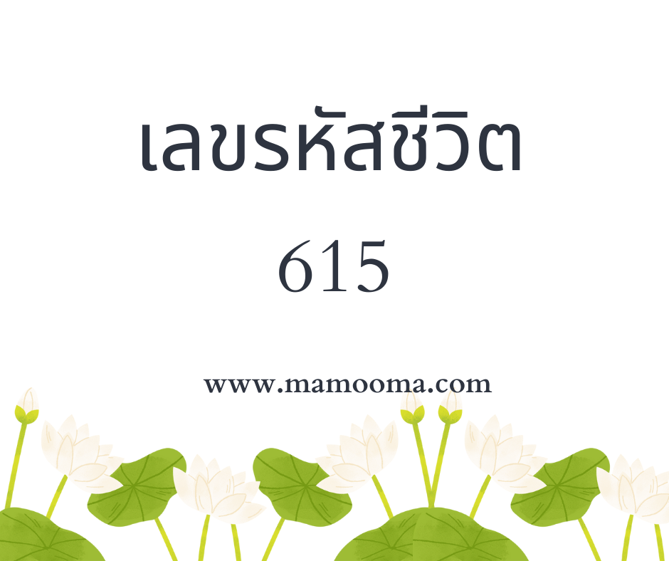 เลขรหัสชีวิต 615