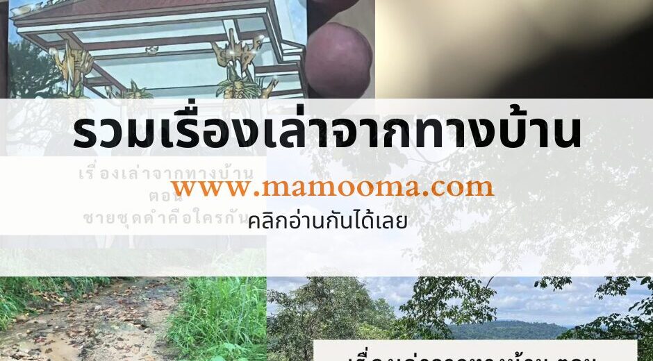 ปฏิทินวันพระ รวมเรื่องเล่าจากทางบ้าน จักรวาลจากเว็บไซต์มามูมะ เก็บไว้อ่านเล่นกัน 9 รวมเรื่องเล่าจากทางบ้าน