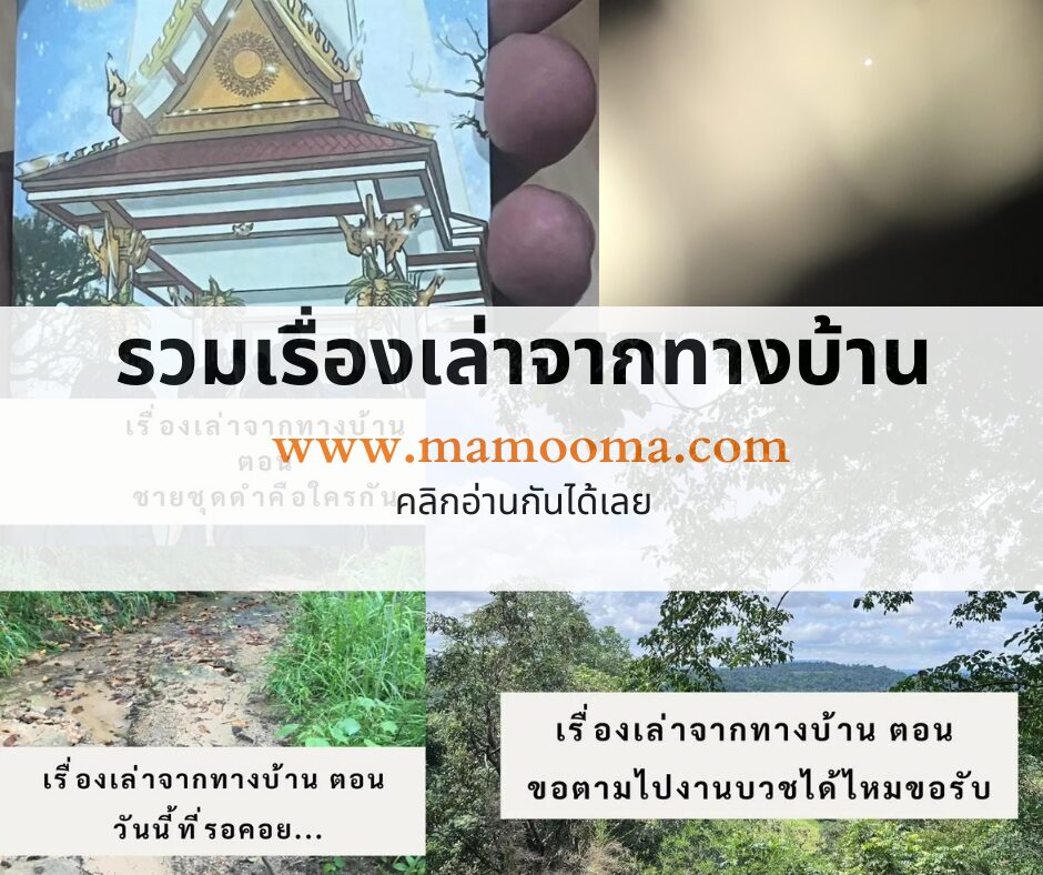 รวมเรื่องเล่าจากทางบ้าน