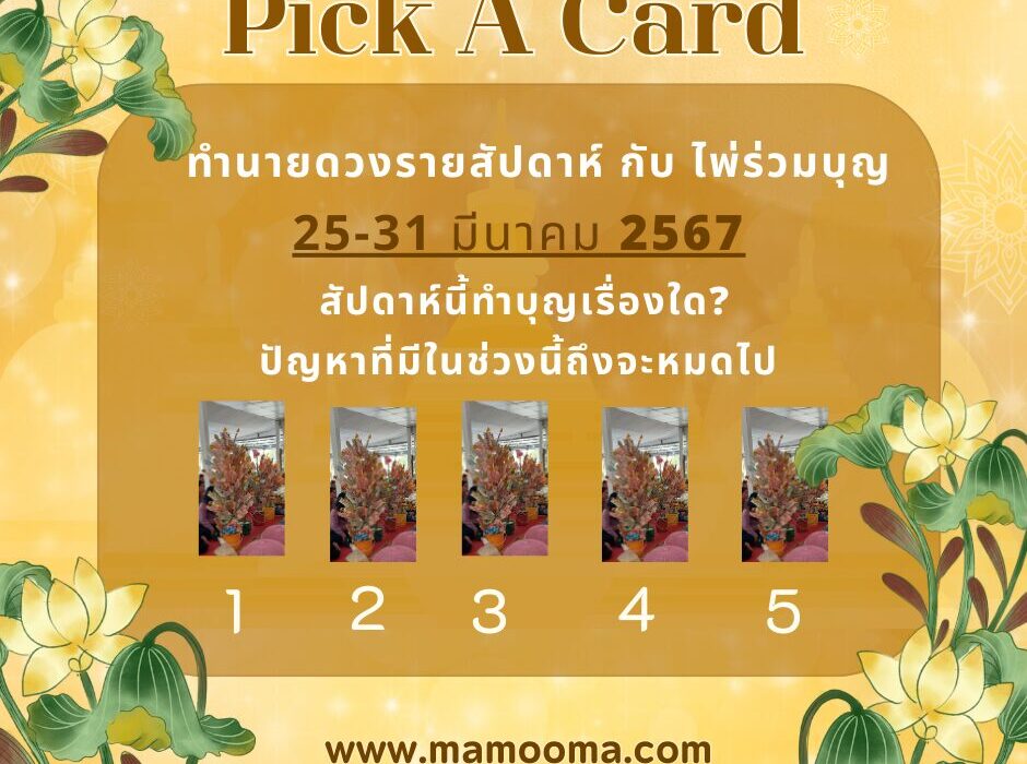 ทำนายดวงรายสัปดาห์ กับ ไพ่ร่วมบุญ 25-31 มีนาคม 2567 สัปดาห์นี้ทำบุญเรื่องใด? ปัญหาที่มีในช่วงนี้ถึงจะหมดไป