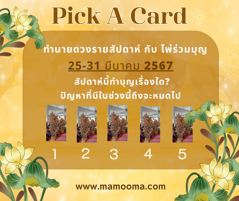 ทำนายดวงรายสัปดาห์ กับ ไพ่ร่วมบุญ 25-31 มีนาคม 2567 สัปดาห์นี้ทำบุญเรื่องใด? ปัญหาที่มีในช่วงนี้ถึงจะหมดไป