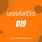 เลขรหัสชีวิต 378