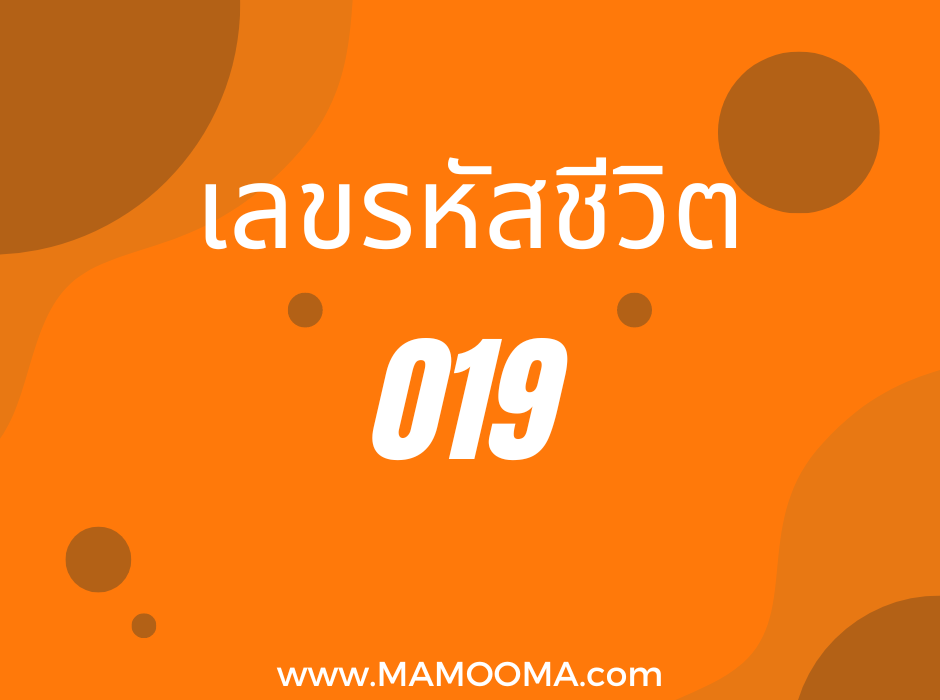 เลขรหัสชีวิต 019