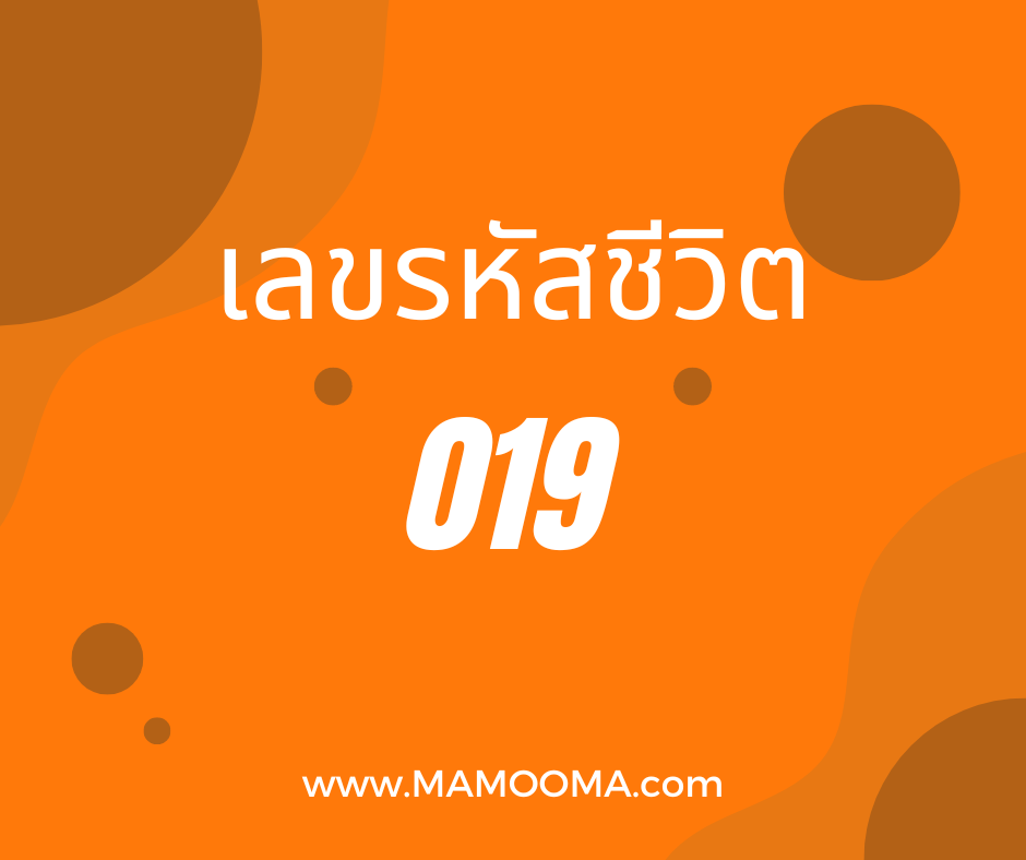 เลขรหัสชีวิต 019