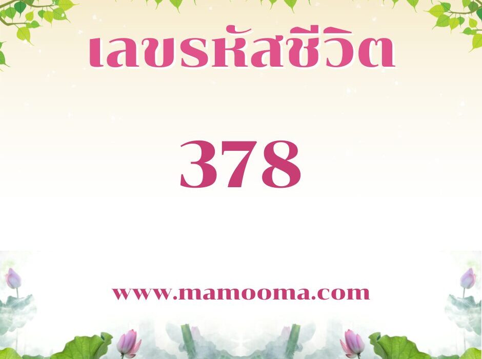 เลขรหัสชีวิต 378